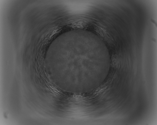 X0000102021297200807181317
