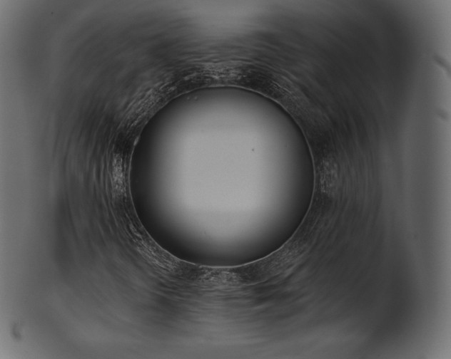 X0000102021298200807181317