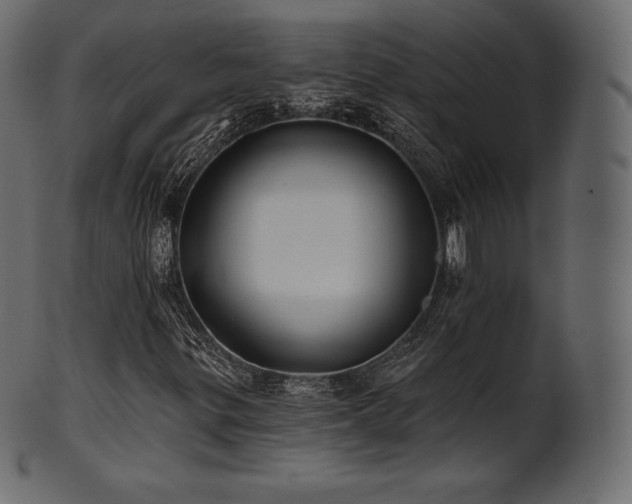 X0000102021299200807181317