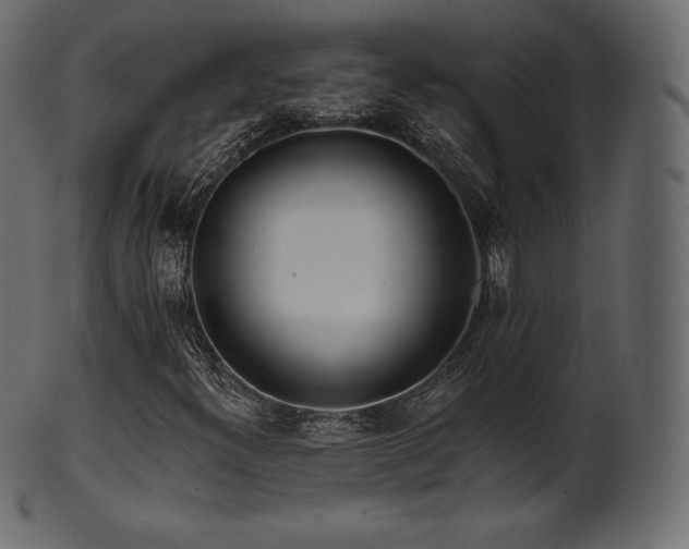 X0000102021300200807181317