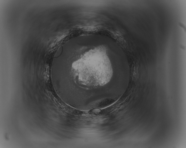 X0000102021301200807181317