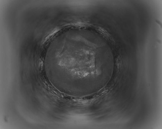 X0000102021302200807181317