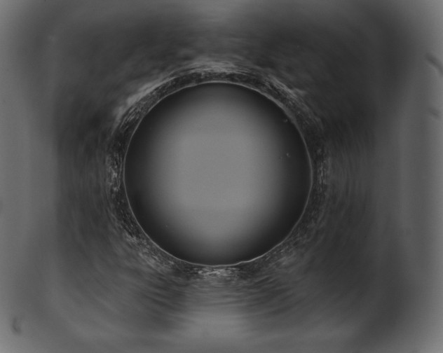 X0000102021303200807181317