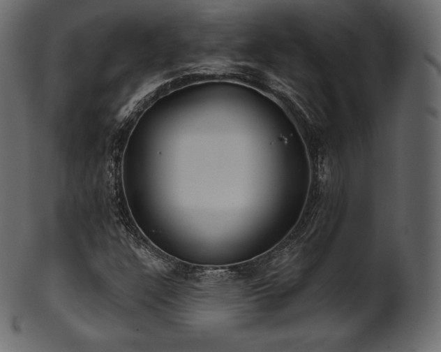 X0000102021304200807181317