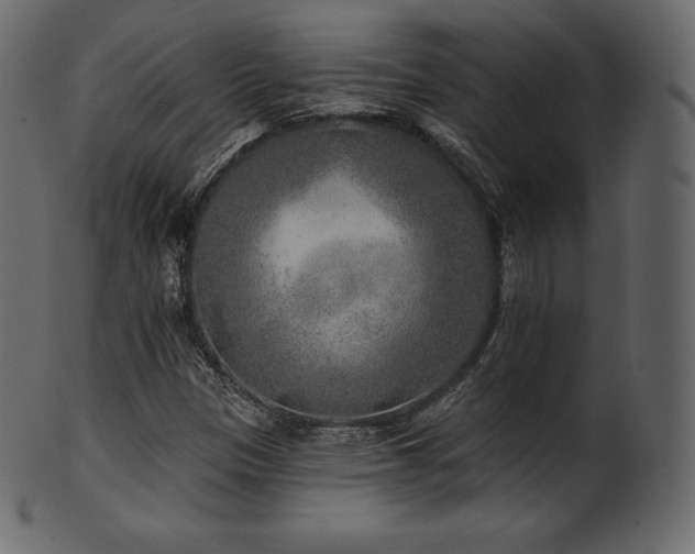 X0000102021305200807181317