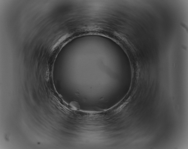 X0000102021306200807181317