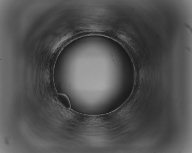 X0000102021307200807181317