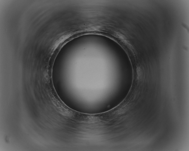 X0000102021308200807181317