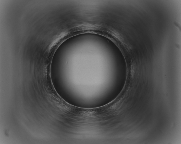X0000102021309200807181317