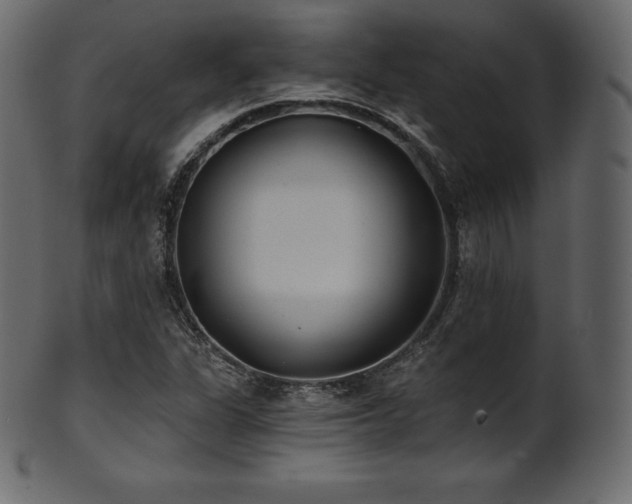 X0000102021311200807181317