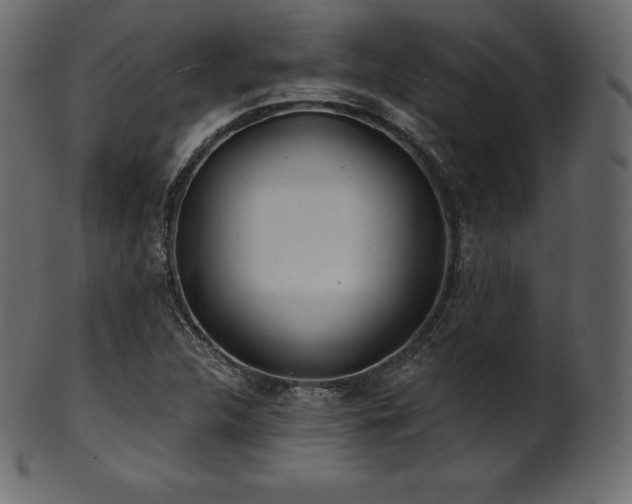 X0000102021312200807181317