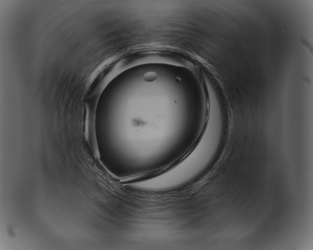 X0000102021314200807181317