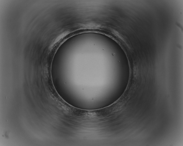 X0000102021315200807181317