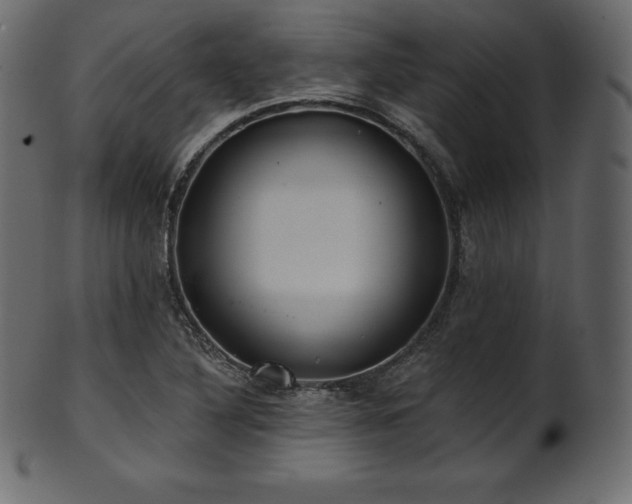 X0000102021316200807181317