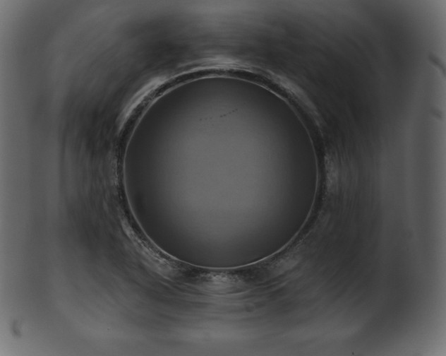 X0000102021318200807181317