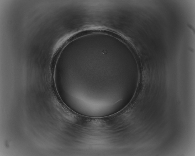 X0000102021319200807181317