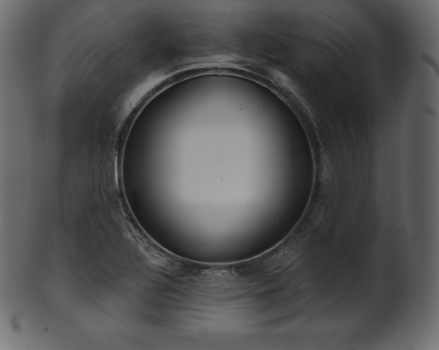 X0000102021320200807181317