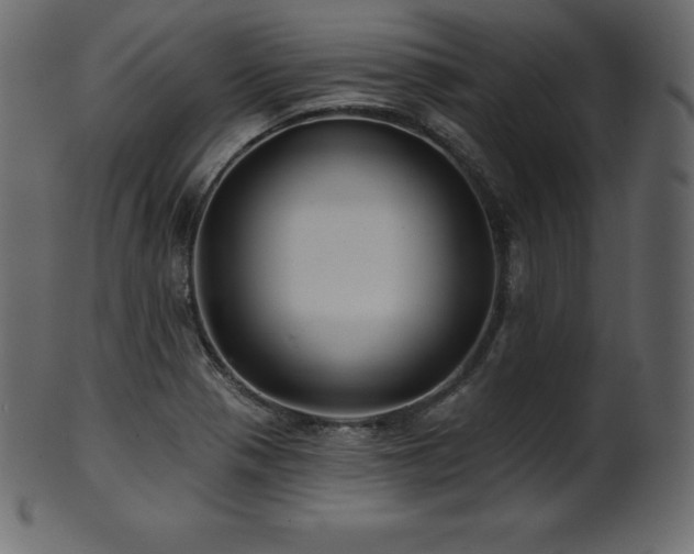 X0000102021321200807181317
