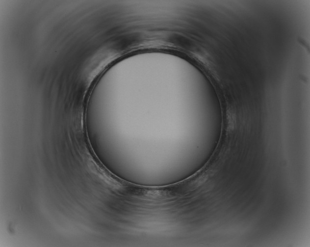 X0000102021322200807181317