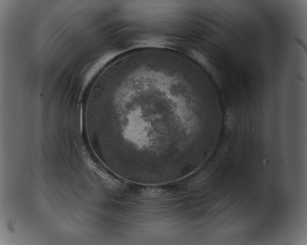 X0000102021323200807181317