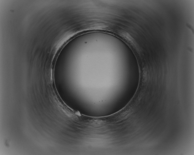 X0000102021324200807181317