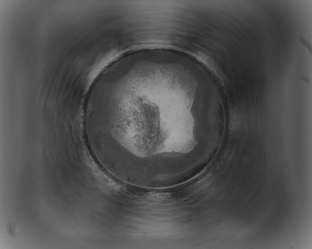 X0000102021325200807181317