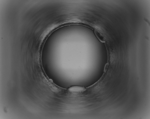 X0000102021326200807181317