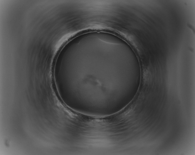 X0000102021327200807181317