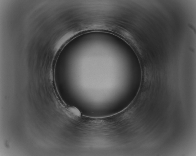 X0000102021328200807181317