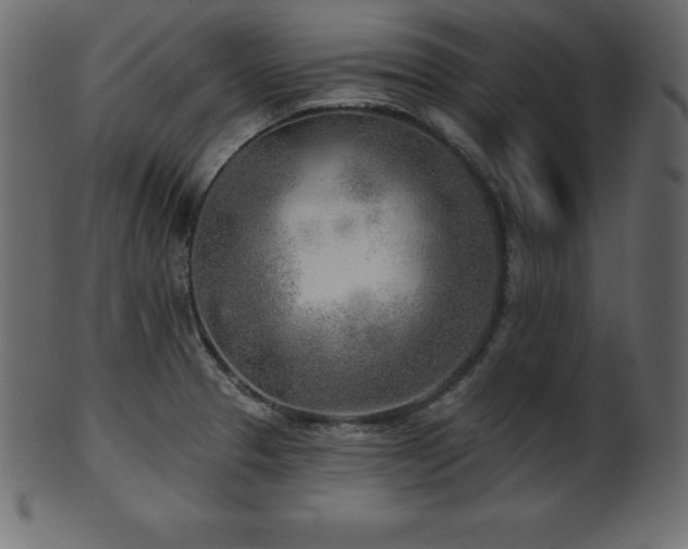 X0000102021329200807181317