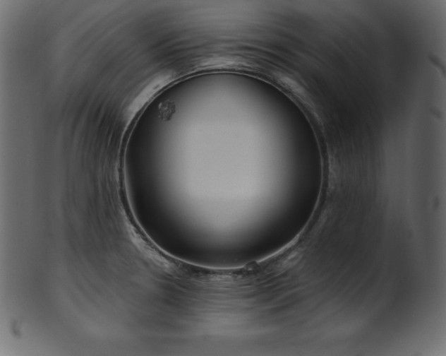 X0000102021330200807181317