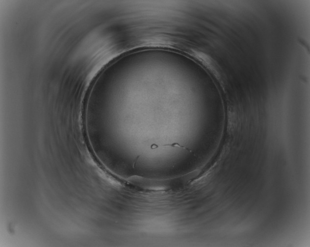 X0000102021331200807181317