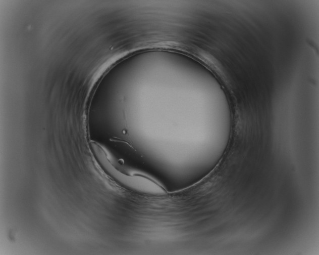 X0000102021332200807181317