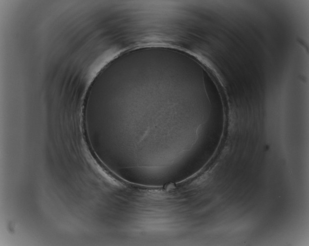 X0000102021333200807181317