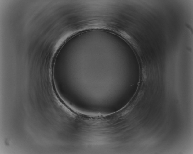 X0000102021334200807181317