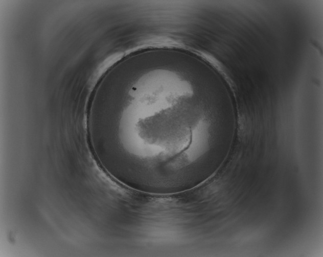 X0000102021335200807181317