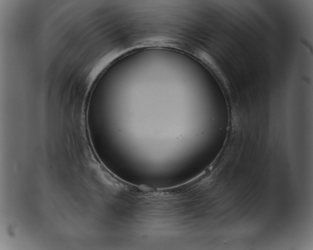 X0000102021336200807181317