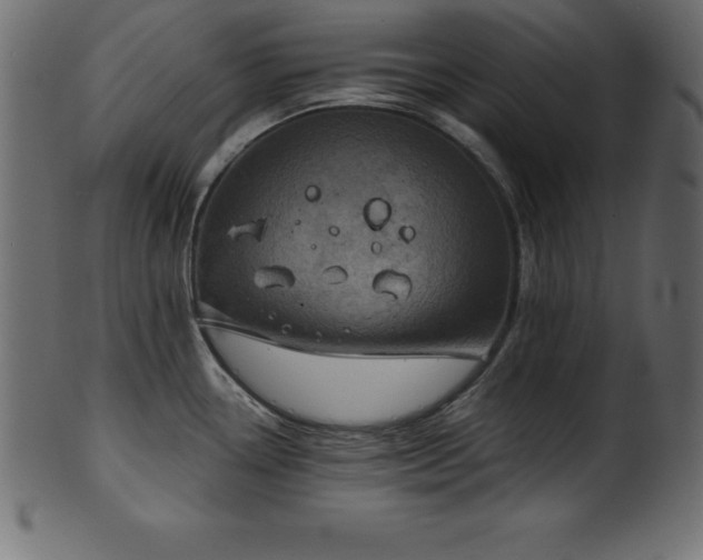 X0000102021338200807181317