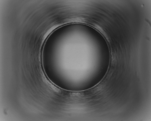 X0000102021339200807181317