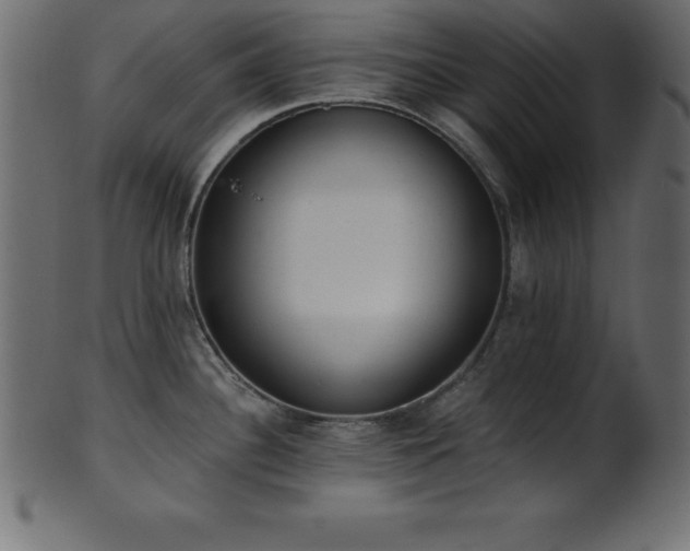 X0000102021340200807181317