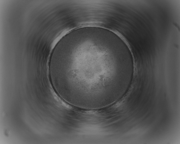 X0000102021341200807181317