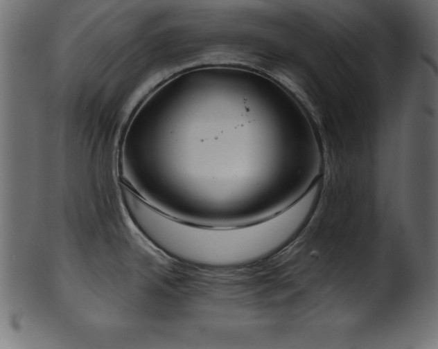 X0000102021342200807181317