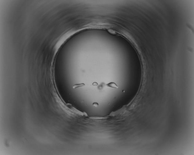 X0000102021344200807181317