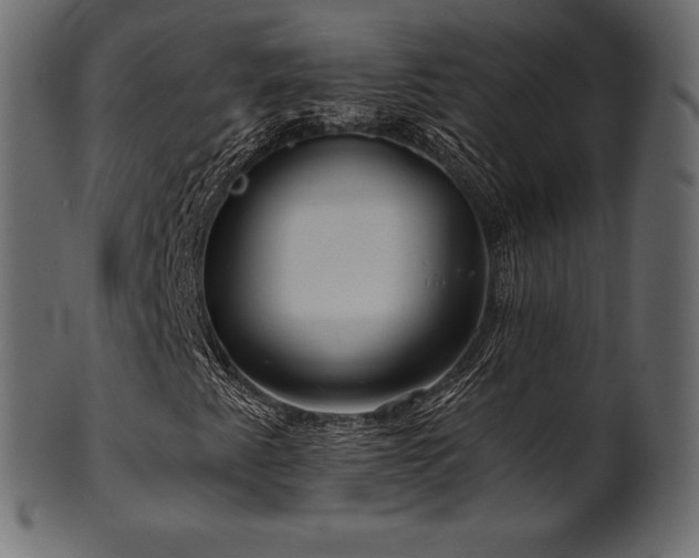 X0000102021345200807181317