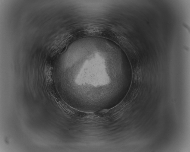 X0000102021346200807181317