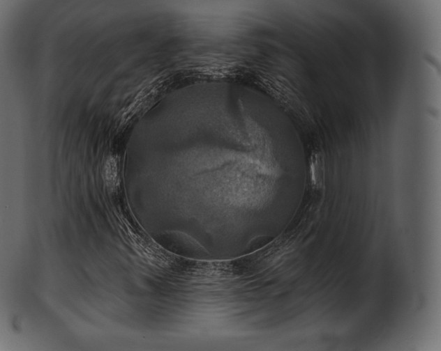 X0000102021347200807181317