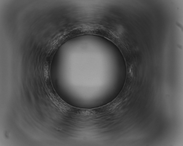 X0000102021348200807181317