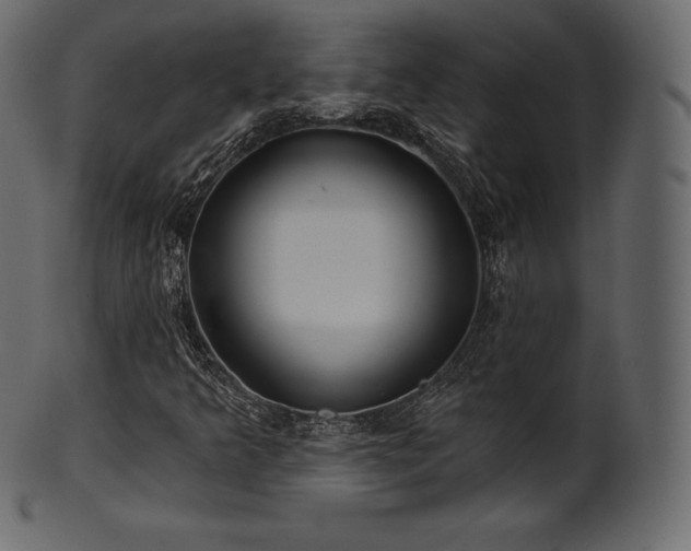 X0000102021349200807181317