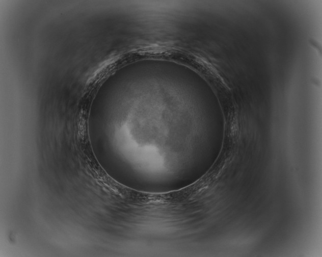 X0000102021350200807181317