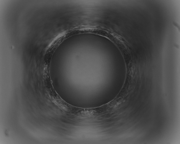 X0000102021351200807181317